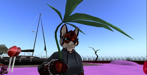 Web 52f772f38da572369a000001