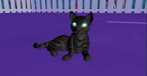 Web 52f80e8d8da5721323000001