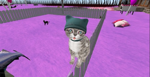 Web 52ff1a2c128cc93efb000001