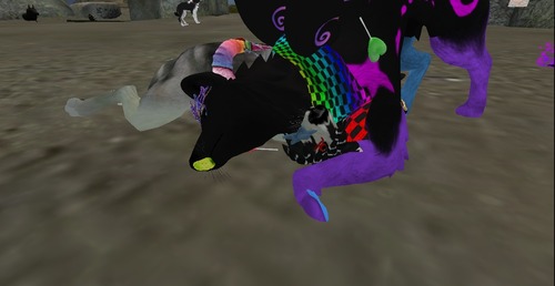 Web 5301d2d4128cc96598000001