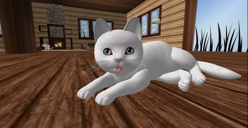 Web 5303172cf8a1ec3673000001