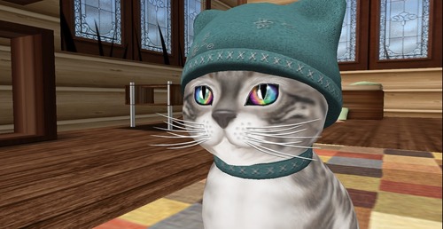 Web 530317d08da572325b000001