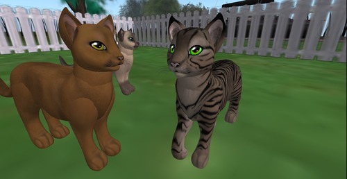 Web 53041ba9128cc92685000001