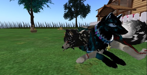 Web 53373fa9f8a1ec0a24000001