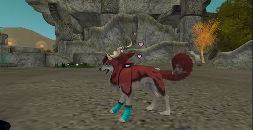 Web 5338037af8a1ec4fea000001