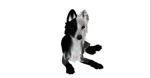 Web 535df0c2128cc94e0f000001