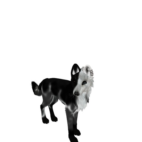 Web 535df2f0a73e213719000001