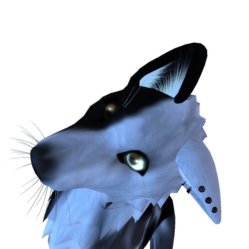 Web 535df480a73e2141d9000001