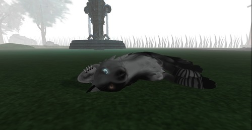 Web 535e828f8da57206b4000001