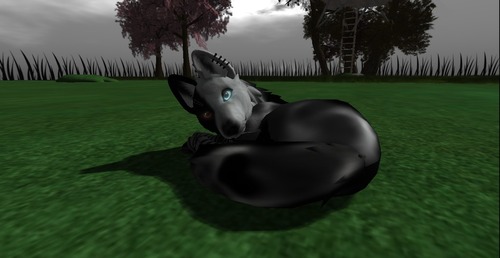 Web 535e840aa73e213879000001