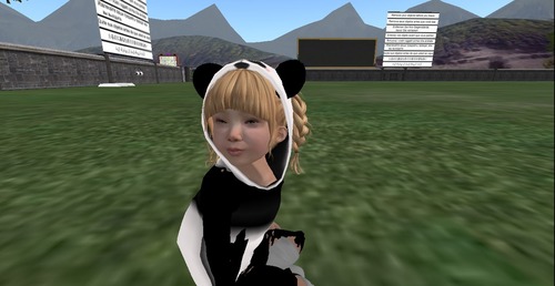 Web 535e9522a73e212303000001