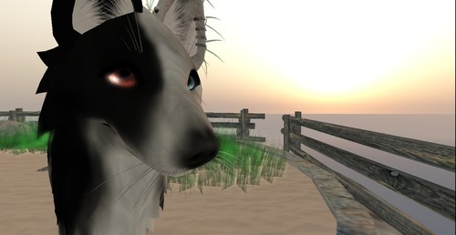 Web 5360a2cca73e2110d1000001