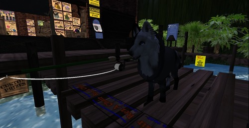 Web 5363ec52128cc96604000001