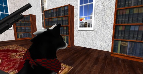 Web 53648d2ca73e212e9e000001