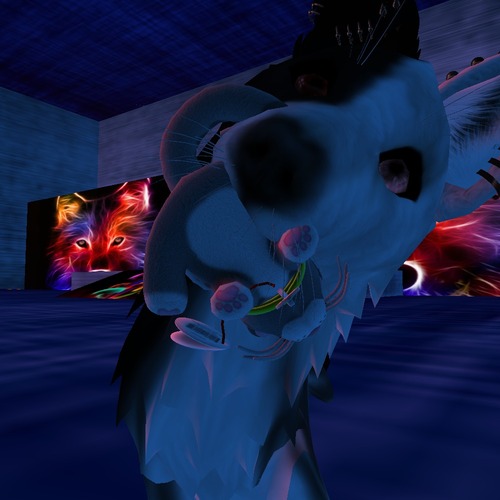 Web 536c5bd5a73e216514000001