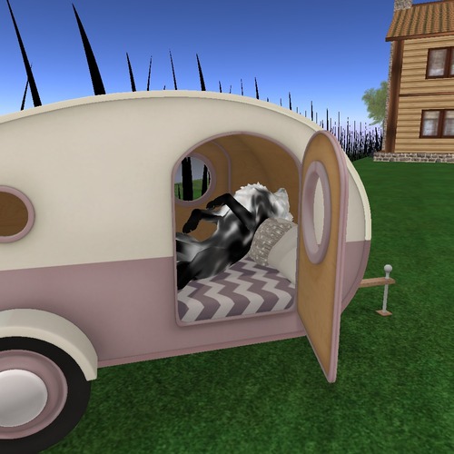 Web 536e7946128cc978b2000001