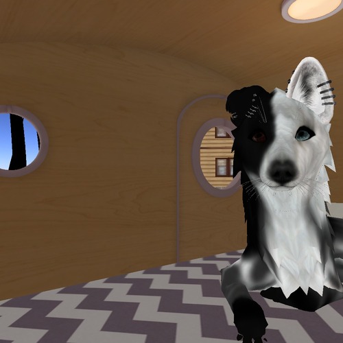 Web 536e79b0128cc97df5000001