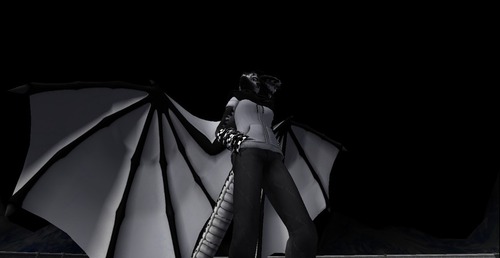 Web 53707a91a73e213db1000001