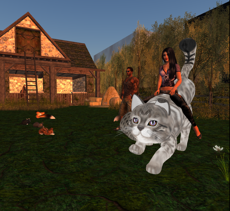 Original 54e38483128cc914c4000001