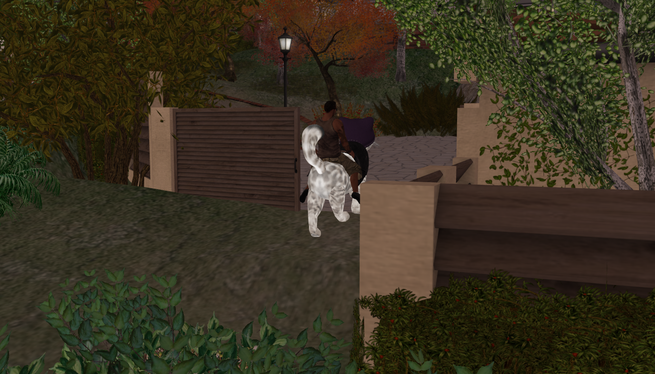 Original 5554ea2a8da5727129000001