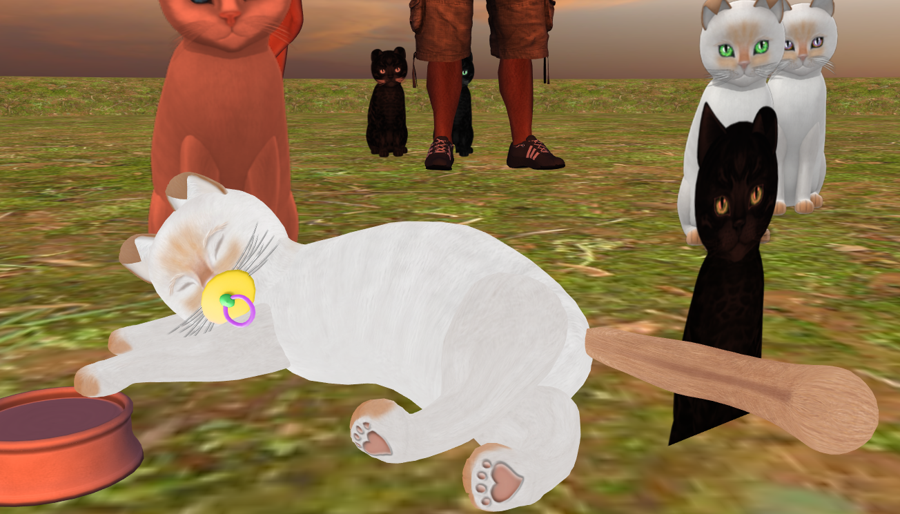 Original 556b565bf8a1ec7a56000001