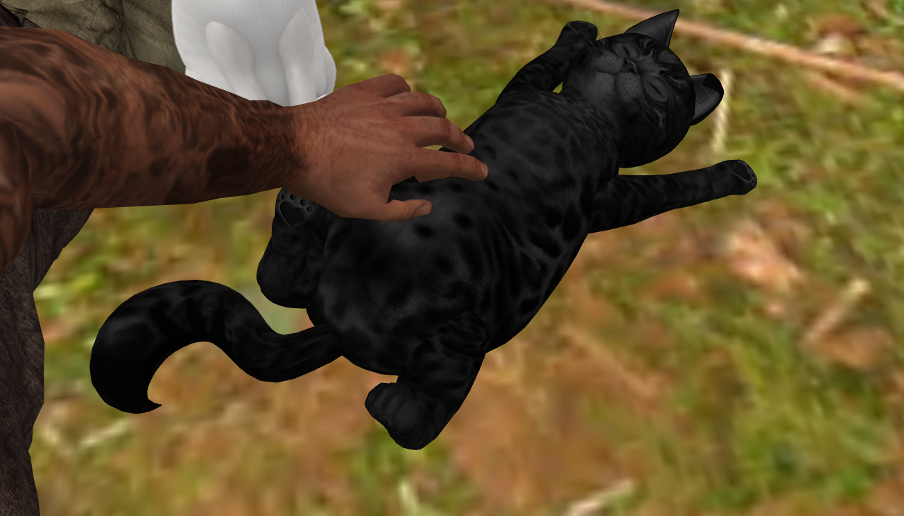 Original 556c90fbf8a1ec392d000001