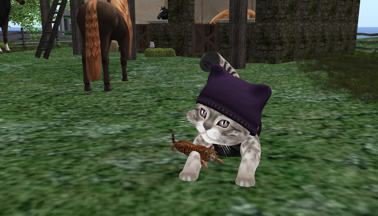 Original 558c7266128cc9485b000001