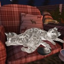 Thumb 54205cc1f8a1ec5ab4000001