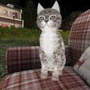 Thumb 54233a7c8da5724165000001