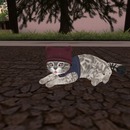 Thumb 5436a49af8a1ec6aa0000001