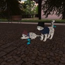 Thumb 5436a5538da5721fa2000001