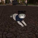 Thumb 5436a65f8da5722692000001