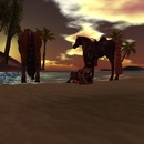 Thumb 5511b40a128cc96422000001