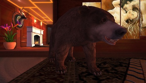 Web 54de1b13128cc97542000001