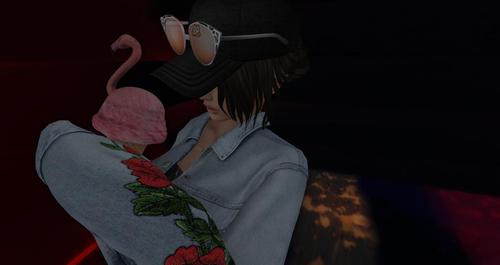 Web 5985b0c8d9859c56ea000001