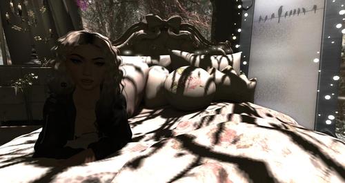 Web 5cba2e14d9859c169b000001