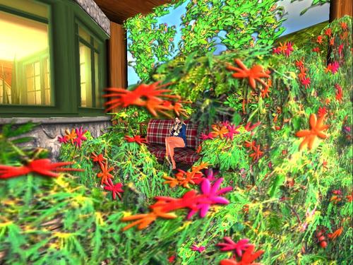 Web 59858bafd9859c701f000001