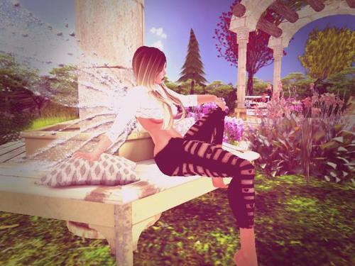 Web 598891a3289dd21d33000001