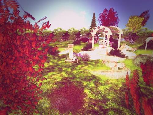 Web 5988931573ed172c38000001