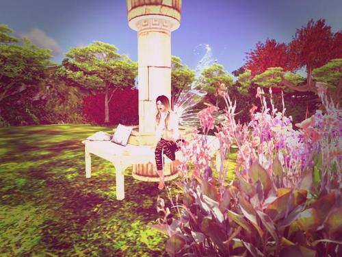 Web 598894b8d9859c32d1000001