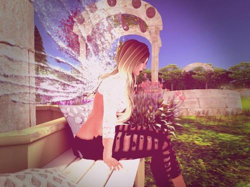 Web 598894d0289dd23444000001