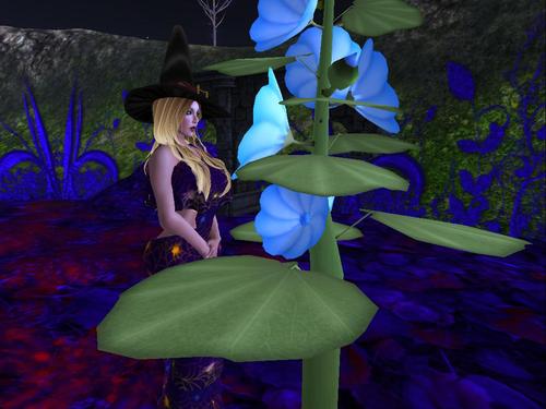 Web 5996fa1d73ed171db6000001