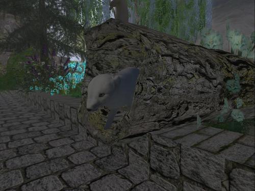 Web 5e2b1575d9859c315f5d3731