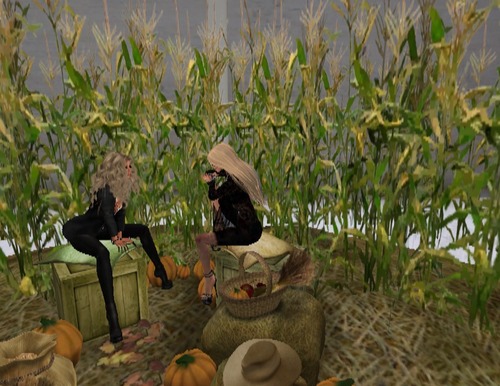 Web 529b28b5ecfccf4841000001