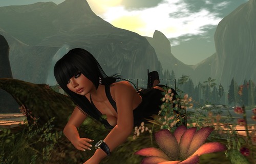 Web 53491fdd128cc91beb000001