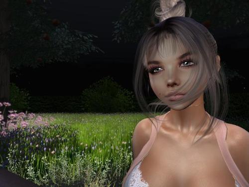 Web 5f1ede9173ed176229500937