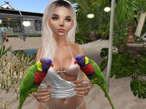 Web 5f202a9a73ed177031500937