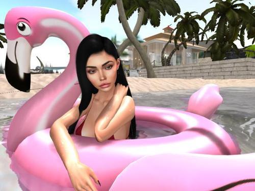 Web 6008444e3a18b045cb0e11a3