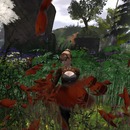 Thumb 572ac49ce85cda41dc000001