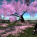 Thumb 572ad065e85cda04de000001